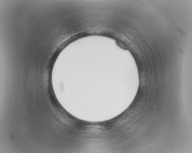 X0000115520448200912181510