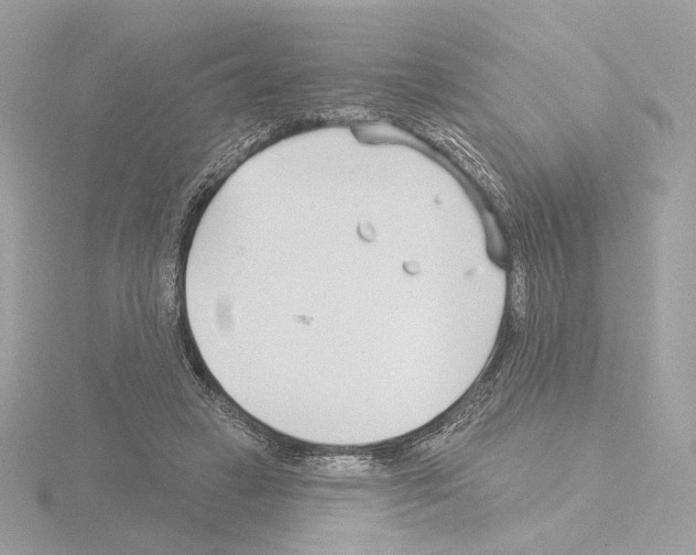 X0000115520449200912181510