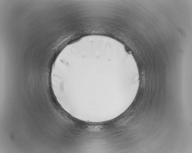 X0000115520450200912181510