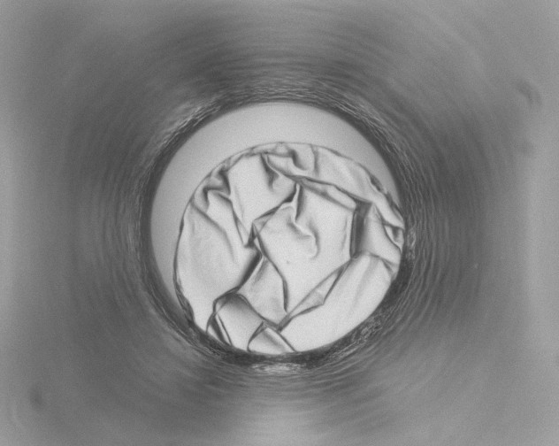 X0000115520452200912181510