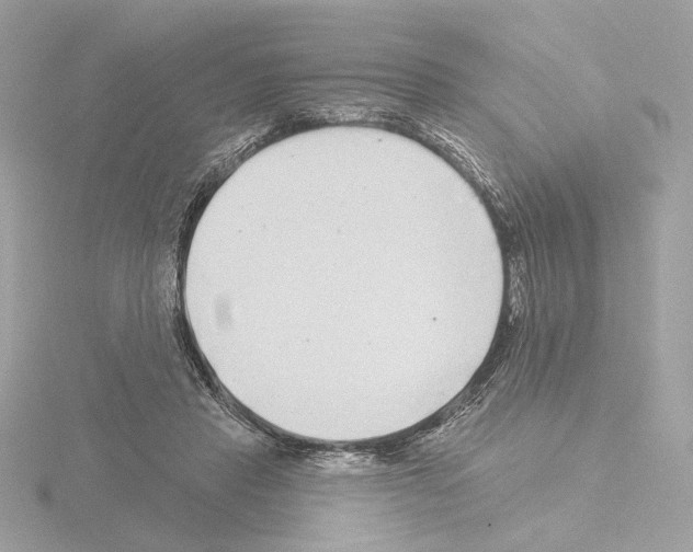 X0000115520453200912181510