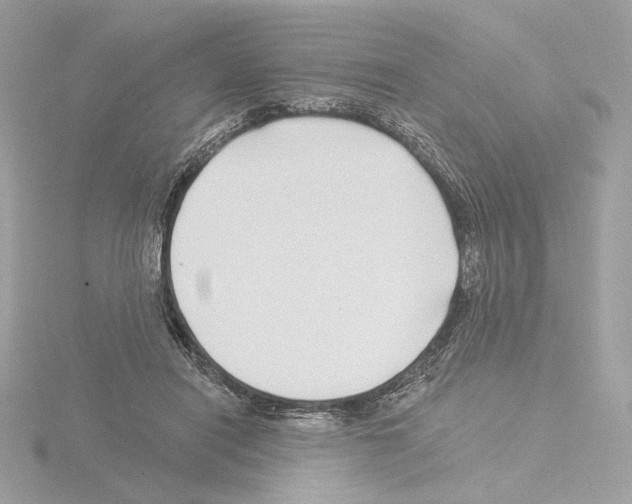 X0000115520454200912181510