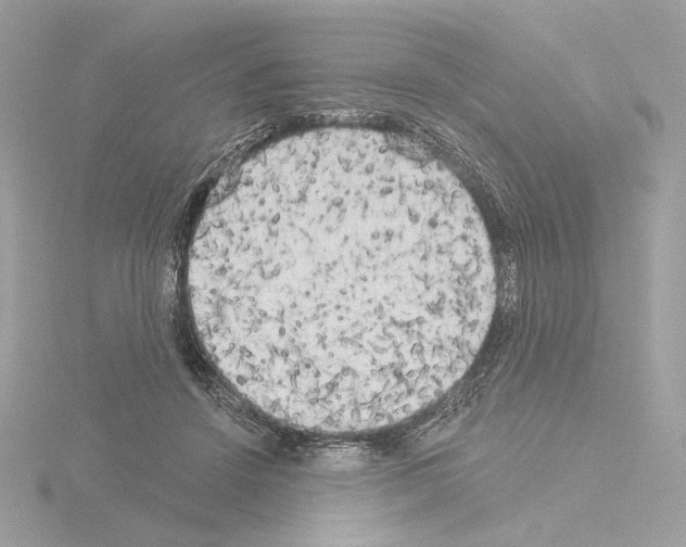 X0000115520456200912181510