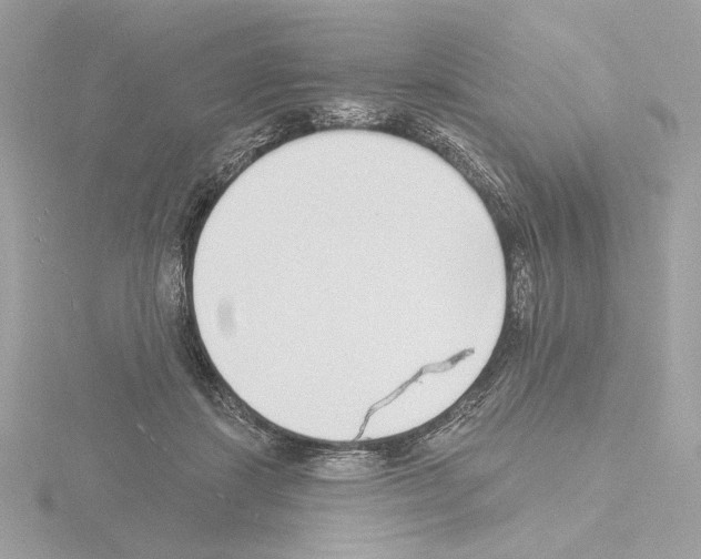 X0000115520459200912181510