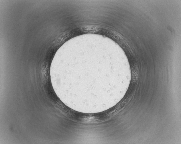 X0000115520460200912181510