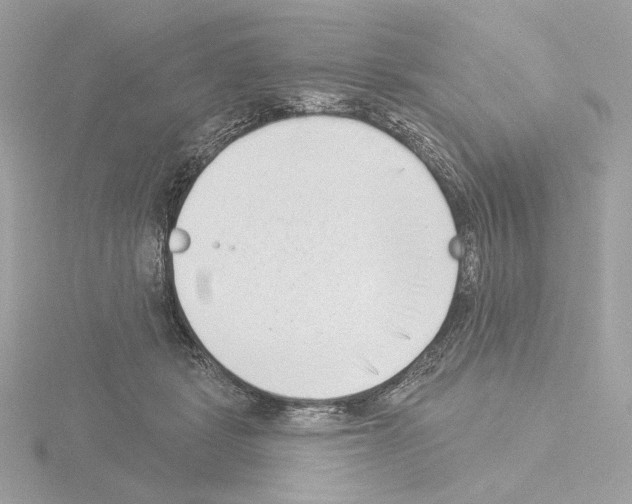 X0000115520461200912181510