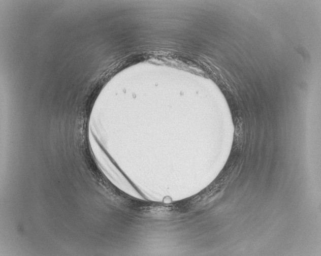 X0000115520462200912181510