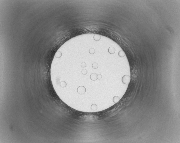 X0000115520464200912181510