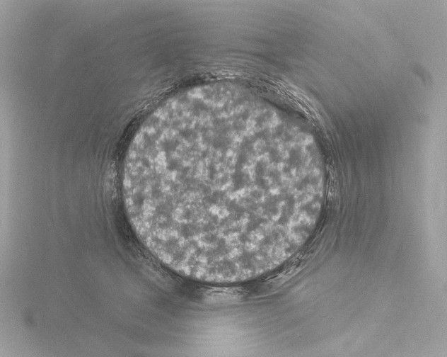 X0000115520465200912181510