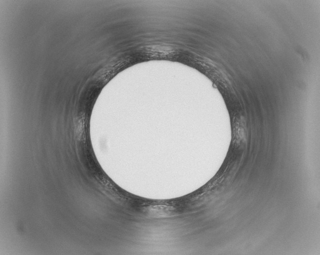 X0000115520468200912181510