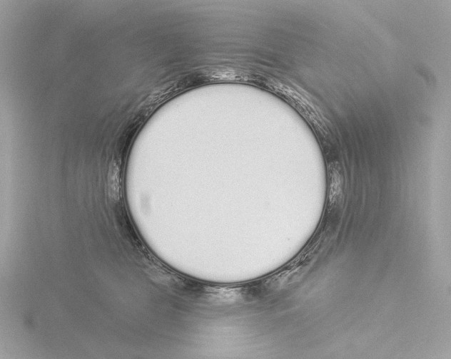 X0000115520469200912181510