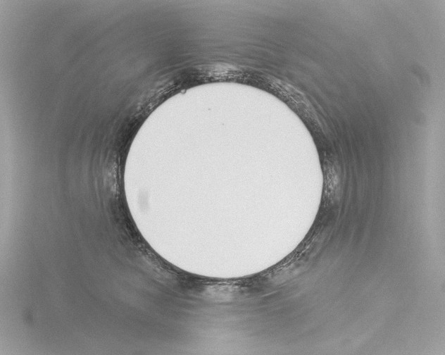 X0000115520470200912181510