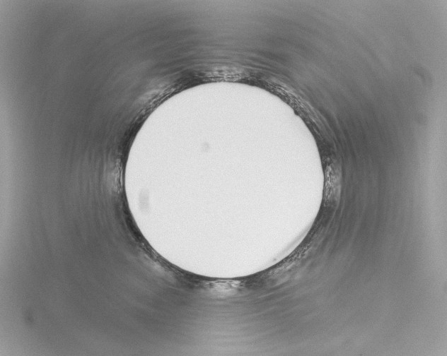 X0000115520474200912181510