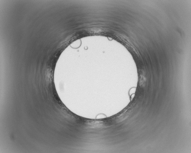 X0000115520476200912181510