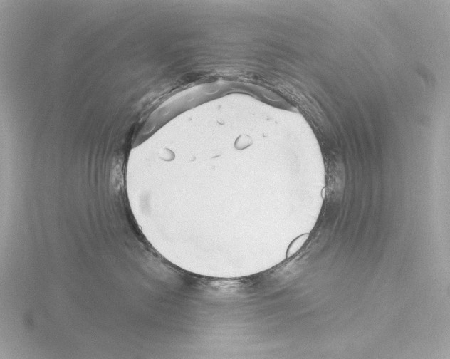 X0000115520478200912181510