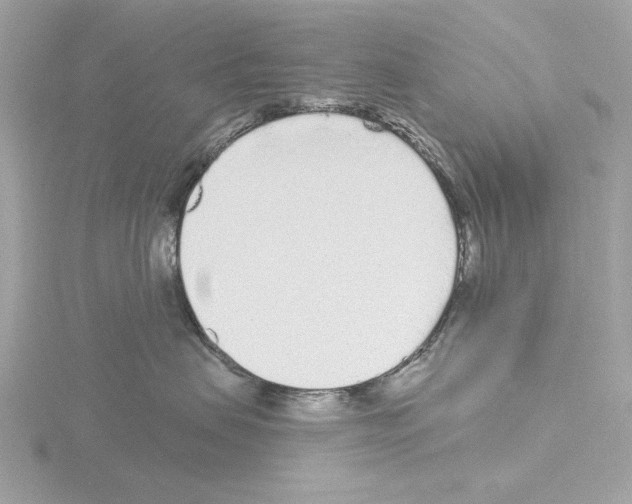 X0000115520479200912181510