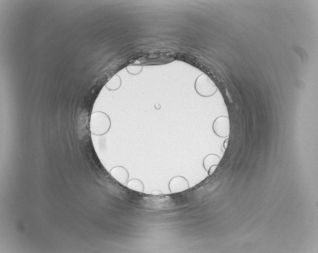 X0000115520480200912181510