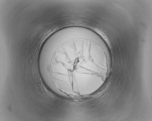 X0000115520481200912181510