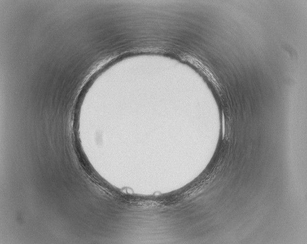 X0000115520483200912181510