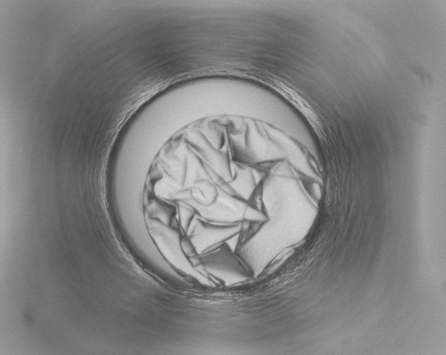 X0000115520485200912181509