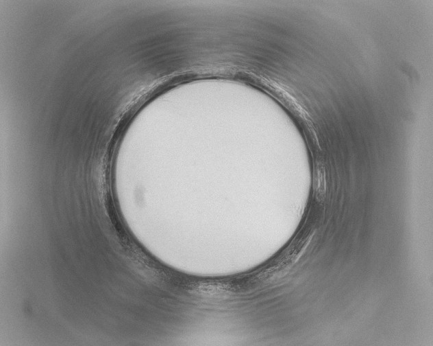 X0000115520487200912181509