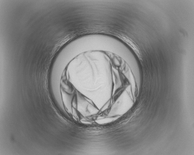 X0000115520489200912181509