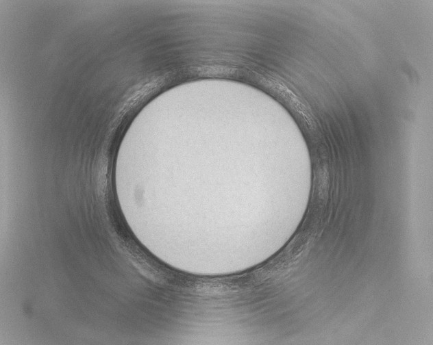 X0000115520490200912181509