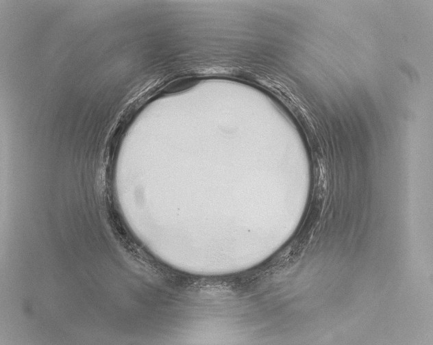 X0000115520491200912181509