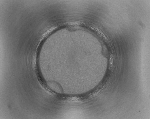 X0000115520492200912181509