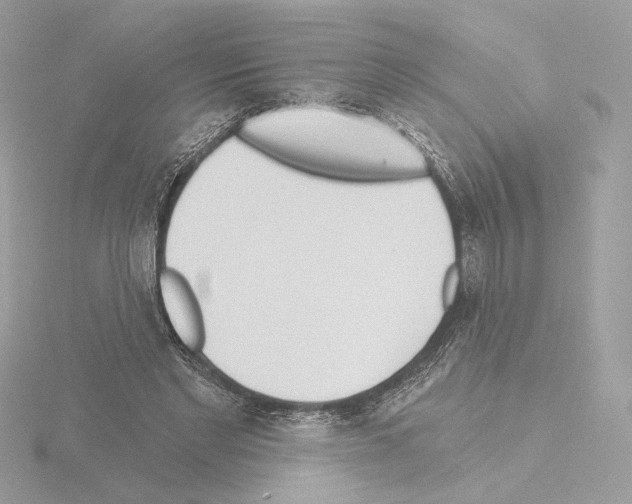 X0000115520493200912181509