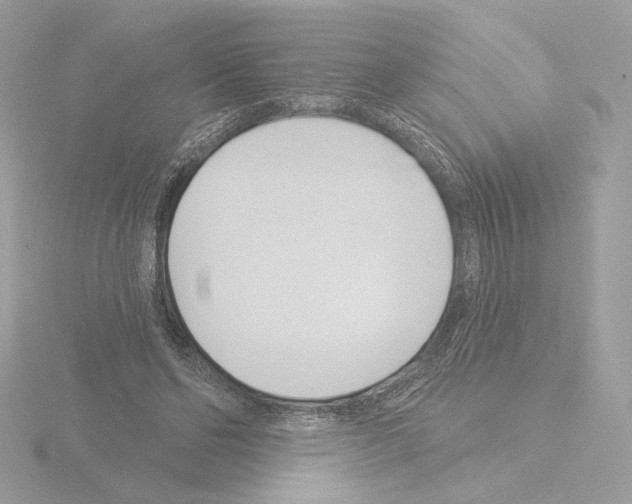 X0000115520494200912181509