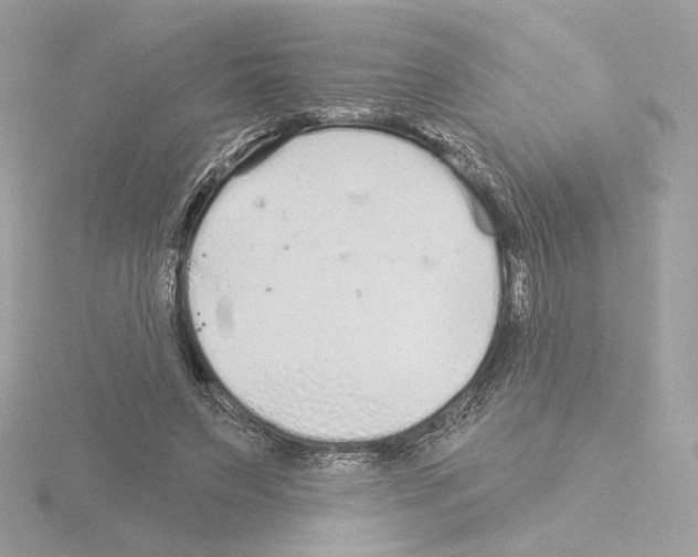 X0000115520495200912181509