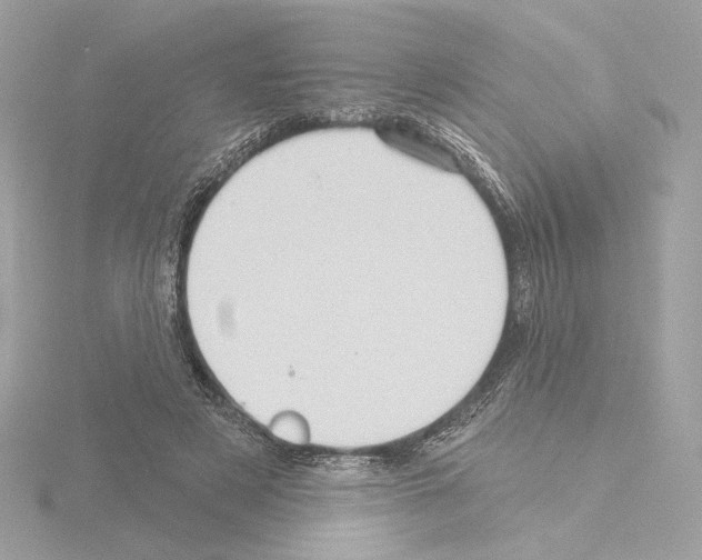 X0000115520497200912181509