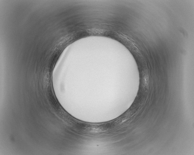 X0000115520498200912181509