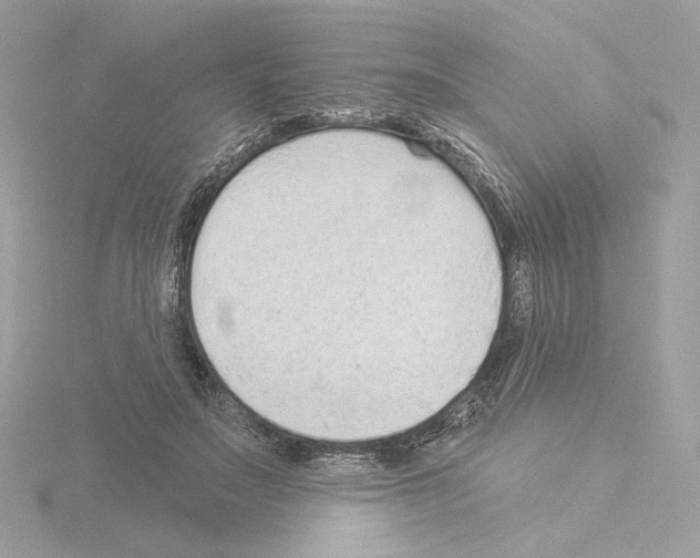 X0000115520499200912181509