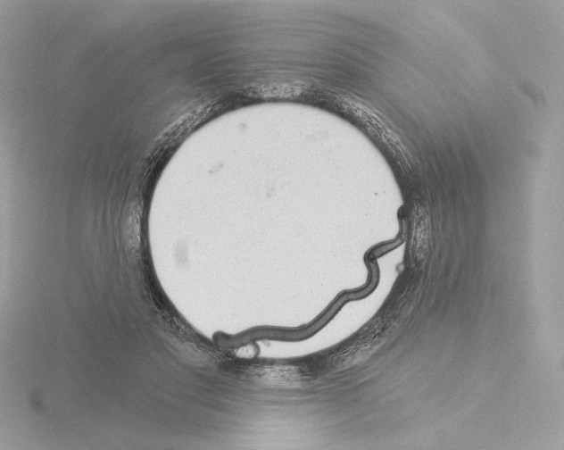 X0000115520501200912181509