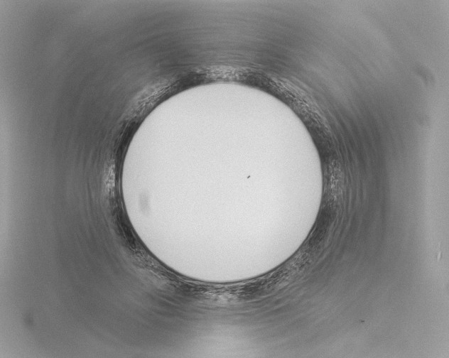 X0000115520502200912181509