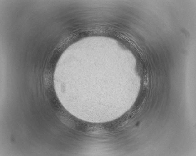 X0000115520503200912181509