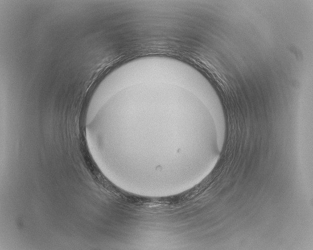 X0000115520504200912181509