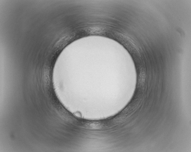 X0000115520506200912181509