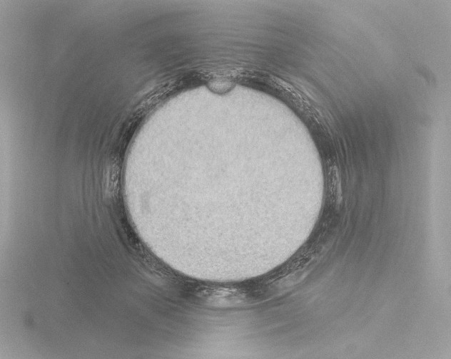 X0000115520507200912181509