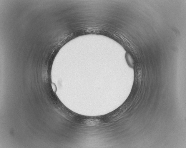 X0000115520508200912181509