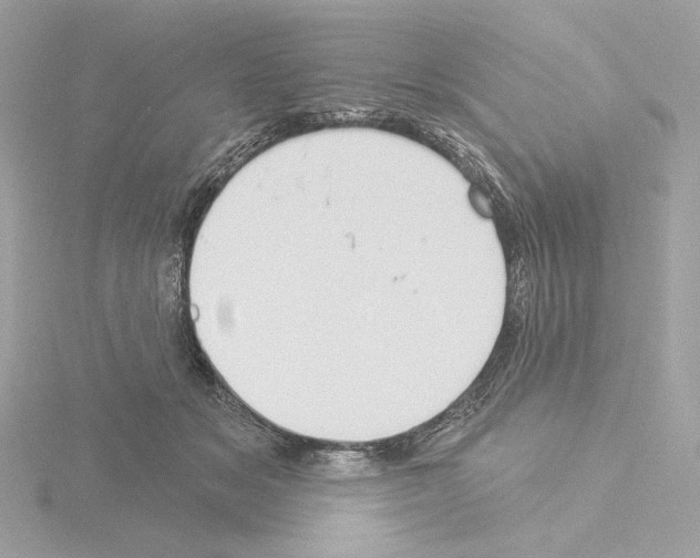 X0000115520509200912181509