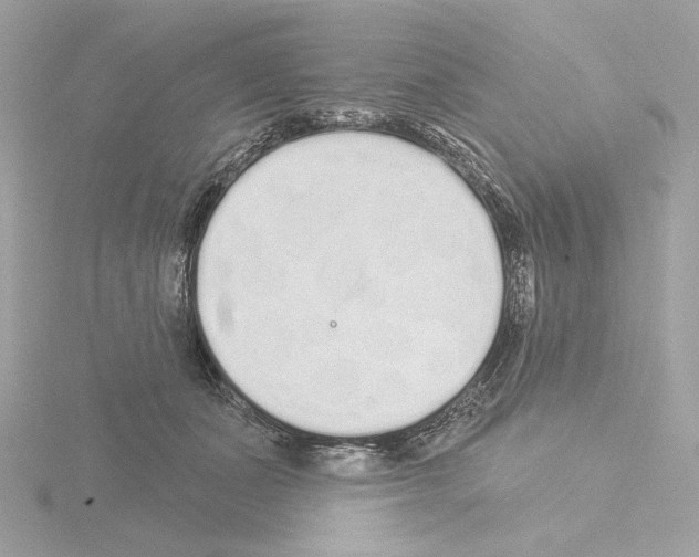 X0000115520511200912181509