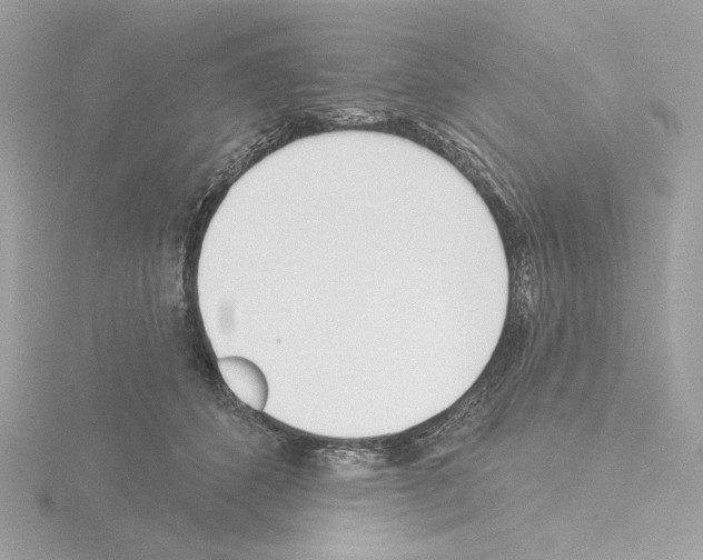 X0000115520512200912181509