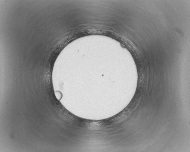 X0000115520513200912181509