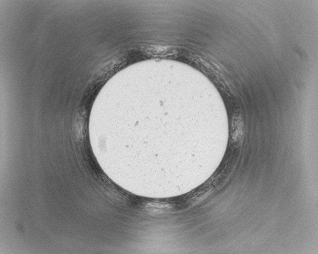 X0000115520515200912181509