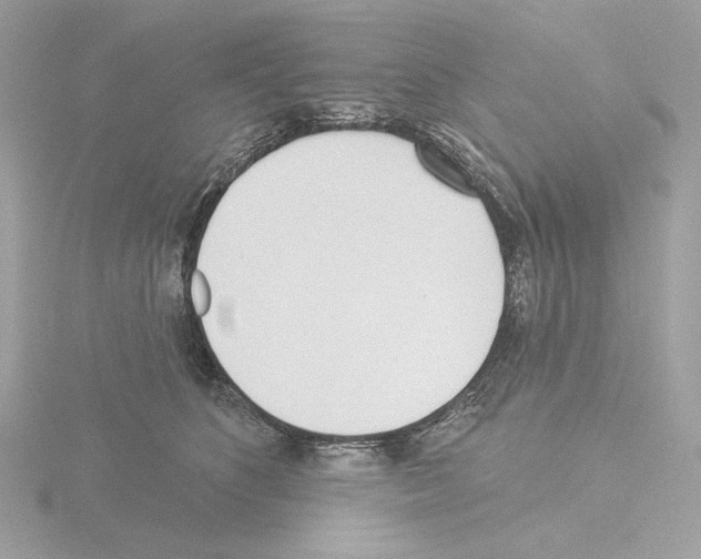 X0000115520516200912181509