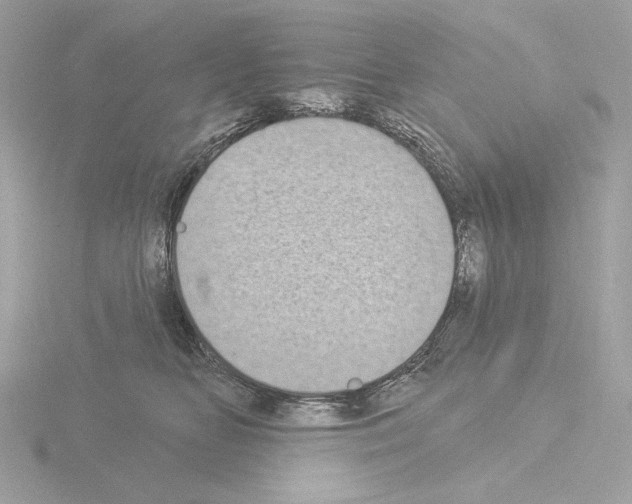 X0000115520518200912181509