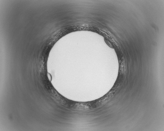 X0000115520520200912181509